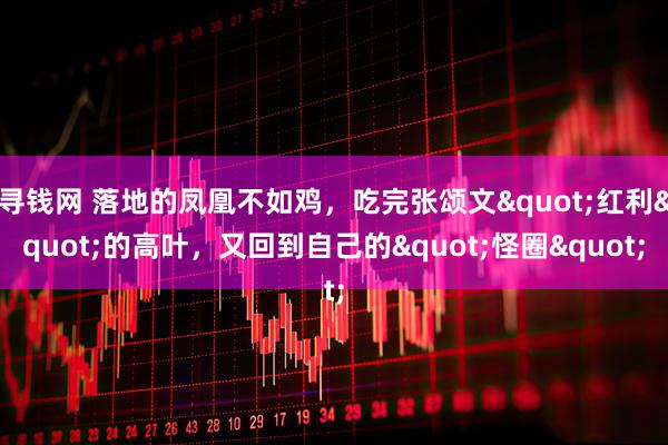 寻钱网 落地的凤凰不如鸡,吃完张颂文"红利"的高叶,又回到自己的"怪圈"