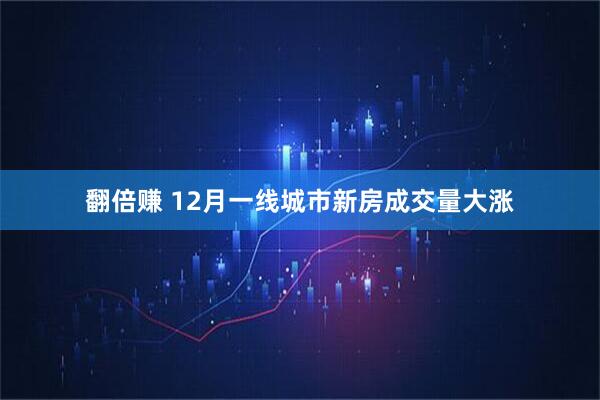 翻倍赚 12月一线城市新房成交量大涨