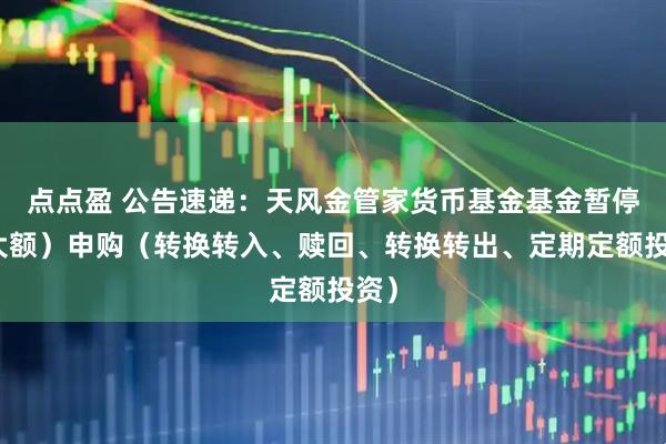 点点盈 公告速递：天风金管家货币基金基金暂停（大额）申购（转换转入、赎回、转换转出、定期定额投资）