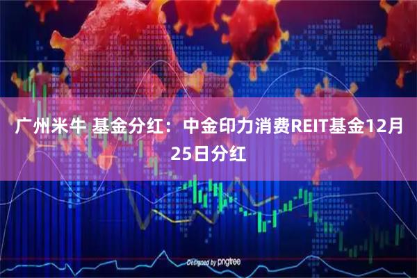 广州米牛 基金分红：中金印力消费REIT基金12月25日分红
